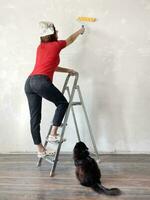 vrouw aan het doen muur schilderen, vrouw gaan naar Doen huis reparaties met zwart kat foto