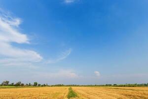 blauwe hemel achtergrondstructuur met witte wolken. foto