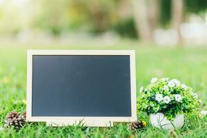 leeg houten schoolbord en bloempot in plein vorm Aan groen gras in de park achtergrond. foto