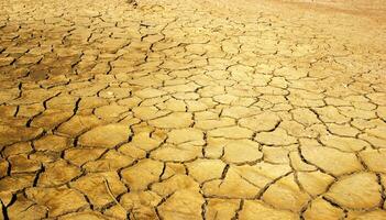 de grond is bruin veroorzaakt door droogte en globaal foto