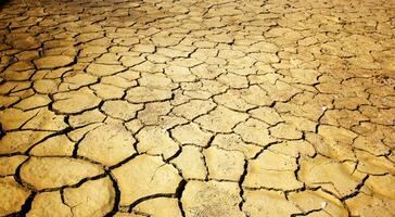 de grond is bruin veroorzaakt door droogte en globaal foto