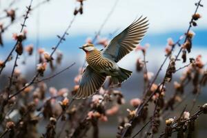 een gouden fazant temidden van kers bloesems, staren Bij zhangjiajies majestueus bergen ai gegenereerd foto