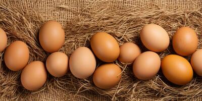 ai gegenereerd. ai generatief. eco biologisch kip kip eieren sjabloon achtergrond bespotten omhoog. grafisch kunst foto
