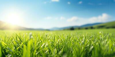 ai gegenereerd. ai generatief. groen vers gras veld- weide met blauw lucht horizon achtergrond. bespotten omhoog inspirerend wild buitenshuis natuur. grafisch kunst foto