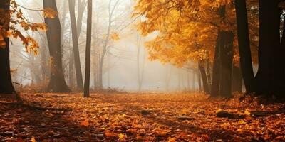 ai gegenereerd. ai generatief. herfst Woud buitenshuis natuur oranje geel park vallen landschap achtergrond. grafisch kunst foto