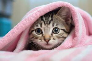 schattig gestreept katje schuilplaats onder een roze deken Bij huis, schattig gestreept kat verpakt in roze handdoek met blauw ogen, ai gegenereerd foto