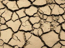 dichtbij omhoog droog gebarsten grond structuur foto