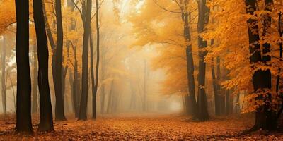 ai gegenereerd. ai generatief. herfst Woud buitenshuis natuur oranje geel park vallen landschap achtergrond. grafisch kunst foto