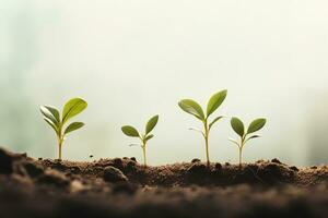 hoog kwaliteit minimalistische voorraad fotografie groei van planten in bodem, generatief ai foto