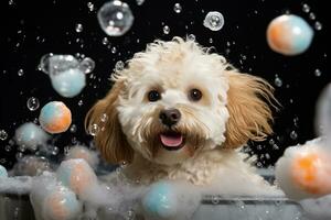 een Maltipoo's ontspannende spa tijd met schuim en bubbels. generatief door ai foto