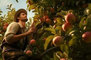 boer oogsten appels in boomgaard Aan zonnig dag. mannetje tuinman plukken appels in boomgaard. ai gegenereerd pro foto