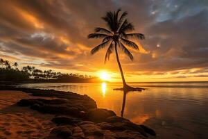 zonsopkomst Hawaii met kokosnoot boom.generatief ai. foto