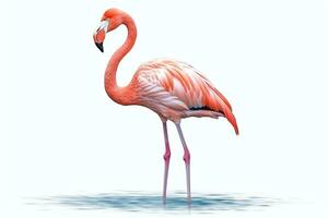 flamingo geïsoleerd Aan wit achtergrond.generatief ai. foto