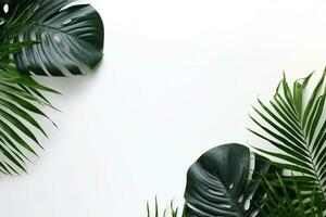 top visie groen palm blad Aan wit achtergrond.generatief ai. foto