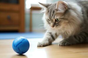 kat is spelen met blauw bal foto