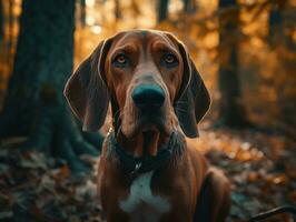 hond hond gemaakt met generatief ai technologie foto