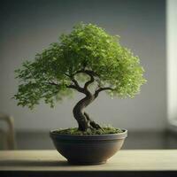 bonsai boom in een pot Aan een tafel voor huis decoratie, ai generatief foto