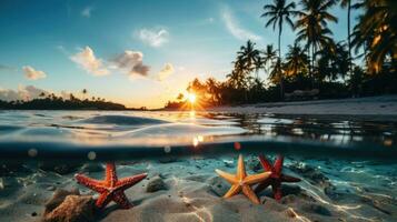 zeester gevlekte Aan zanderig bodem spleet visie tropisch zonsondergang eiland met strand en palmen achtergrond met leeg ruimte voor tekst foto