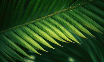 palm blad behang. tropisch bladeren achtergrond. voor banier, ansichtkaart, boek illustratie. gemaakt met generatief ai gereedschap foto
