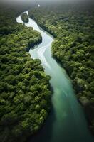 antenne visie van de amazonas oerwoud landschap met rivier- kromming. generatief ai foto