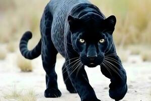 mooi portret van een zwart panter van de jaguar soorten. neurale netwerk ai gegenereerd foto