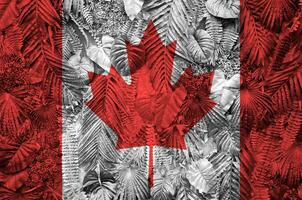 Canada vlag afgebeeld Aan veel doorbladert van monstera palm bomen. modieus modieus backdrop foto