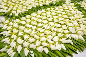 boeket van vers wit tulpen. neurale netwerk ai gegenereerd foto