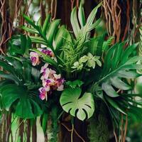 donker groen bladeren monstera of spleet blad philodendron licht en schaduw achtergrond. generatief ai foto