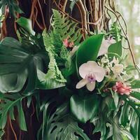 donker groen bladeren monstera of spleet blad philodendron licht en schaduw achtergrond. generatief ai foto