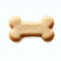 eigengemaakt hond biscuit geïsoleerd Aan wit achtergrond. generatief ai foto