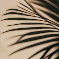 mooi abstract banier met groen palm bladeren schaduw beige Aan een wit achtergrond. natuurlijk blad concept. groen natuurlijk achtergrond. palm boom blad textuur. zomer concept. abstract. generatief ai foto