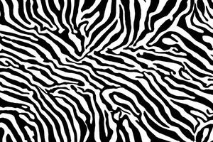 zebra huid achtergrond, zebra huid textuur, ai generatief foto