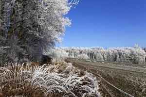 prachtig sprookjesachtig besneeuwd winterlandschap met blauwe lucht in centraal bohemen, tsjechië foto
