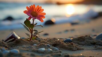 een bloem groeit uit van de zand Aan de strand generatief ai foto