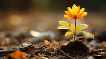 een klein oranje bloem is groeit uit van de grond generatief ai foto