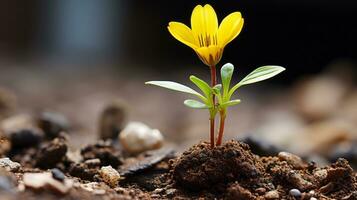 een klein geel bloem ontspruiten van de grond generatief ai foto