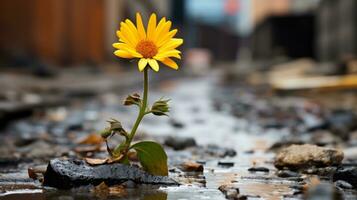 een geel bloem groeit uit van een plas in de midden- van een stad straat generatief ai foto