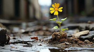 een geel bloem groeit uit van de grond in een plas generatief ai foto