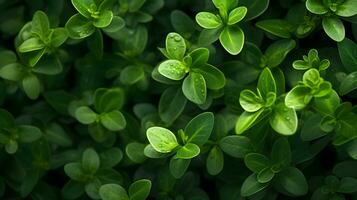 micro fotografie - klein groen bladeren, gegenereerd ai schot foto