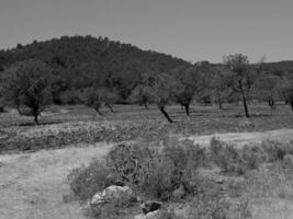 de eiland van ibiza foto