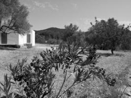 de eiland van ibiza foto