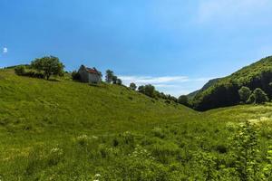 groene heuvels en bomen foto