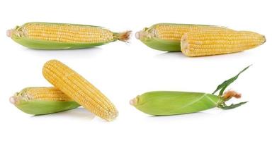 verse maïs op witte achtergrond foto