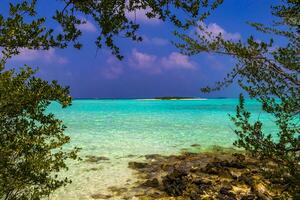natuurlijke tropische turquoise zandbank eilanden madivaru finolhu rasdhoo atol maldiven. foto