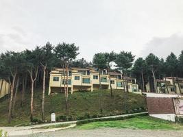 hoge pijnbomen en huizen in de stad Sokcho, Zuid-Korea foto