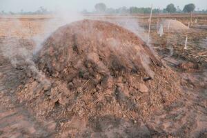 brandwond hout in houtskool door aan het bedekken de bodem. foto