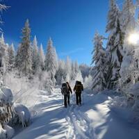 sneeuwschoenwandelen. vredig wandelingen door met sneeuw bedekt landschappen foto