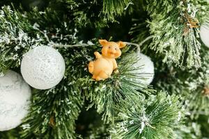 vrolijk Kerstmis en gelukkig nieuw jaar. speelgoed- varken in de takken van sparren. achtergrond met kopiëren ruimte. selectief focus. foto