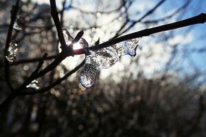 fabriek versierd met vormen bevroren door sneeuw en regen en verkoudheid zon van winter dag foto