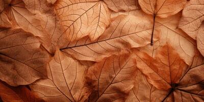 detailopname herfst droog blad getextureerde behang. gemaakt met ai gereedschap foto